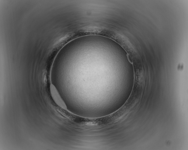 X0000097460692200802221214