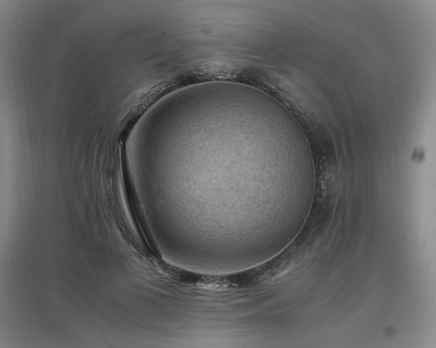 X0000097460693200802221214