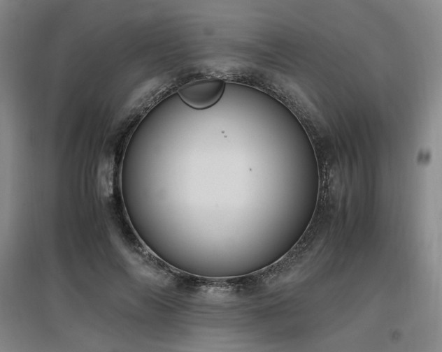 X0000097460694200802221214