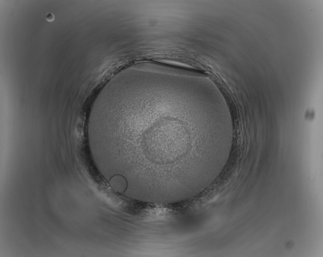X0000097460695200802221214