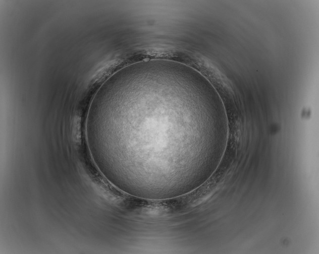 X0000097460696200802221214