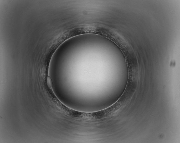 X0000097460697200802221214