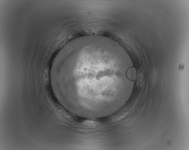 X0000097460699200802221214