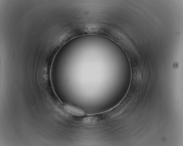 X0000097460700200802221214