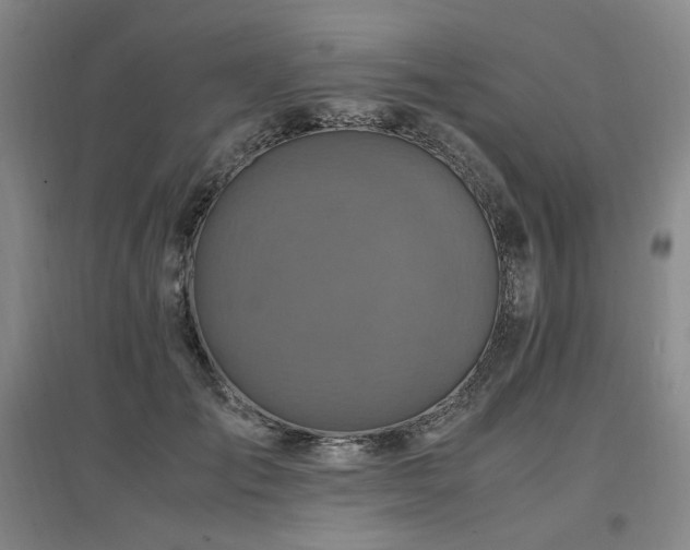 X0000097460701200802221214