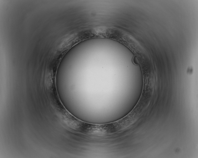 X0000097460702200802221214