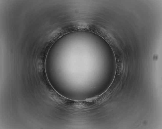 X0000097460704200802221214