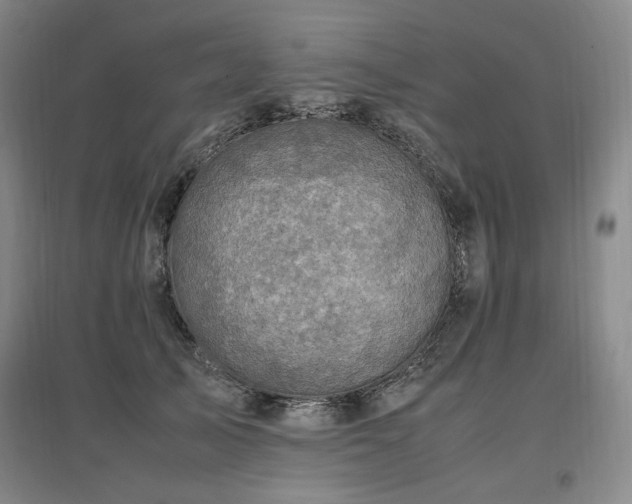 X0000097460705200802221214