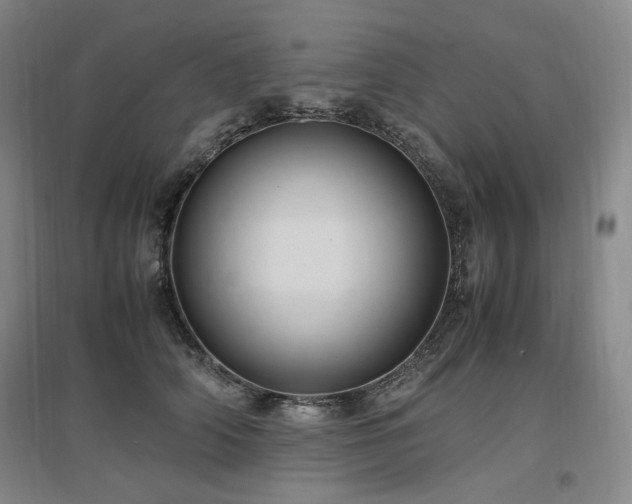 X0000097460706200802221214