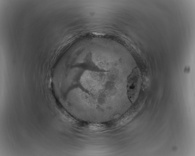 X0000097460707200802221214