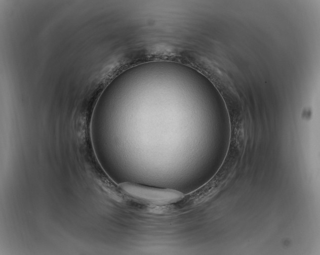 X0000097460708200802221214