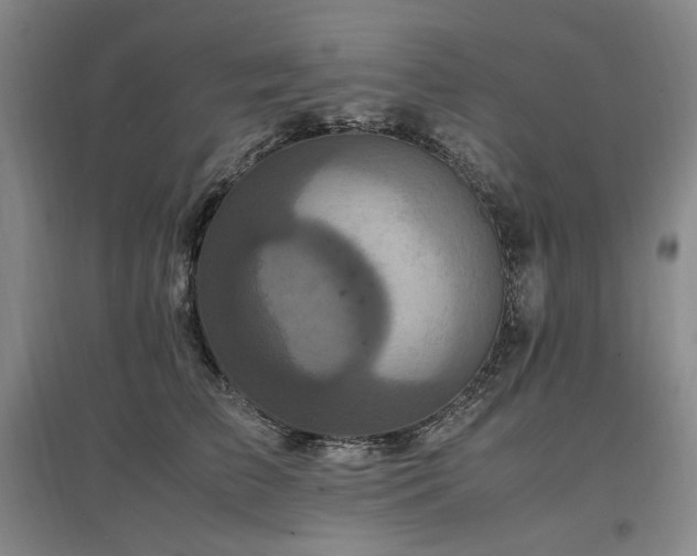 X0000097460709200802221214