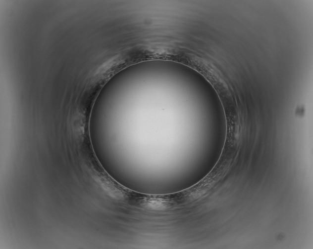 X0000097460710200802221214