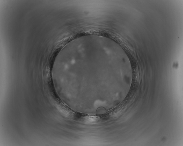 X0000097460711200802221214