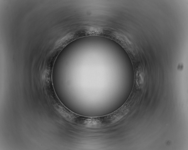 X0000097460714200802221214