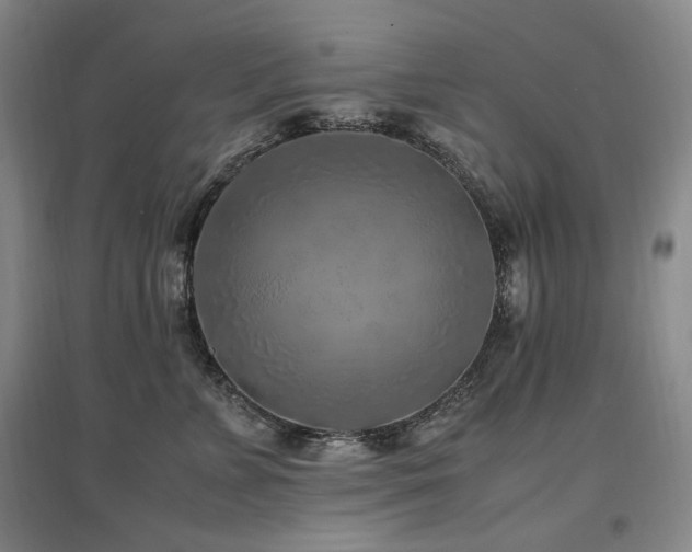 X0000097460715200802221214