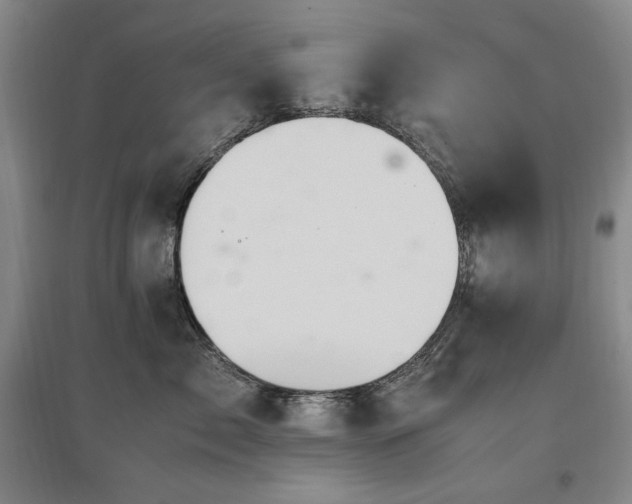 X0000097460717200802221213