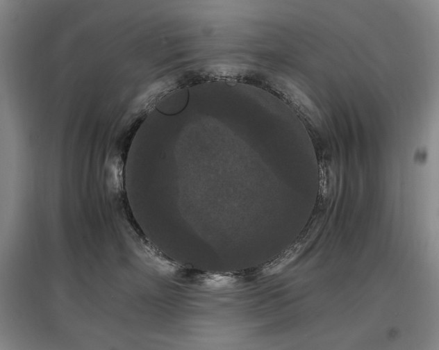 X0000097460718200802221213