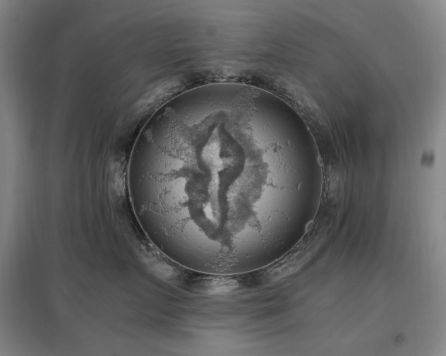 X0000097460719200802221213