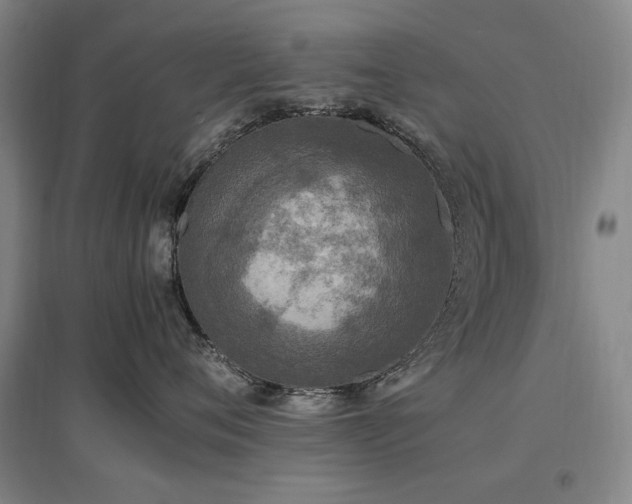 X0000097460720200802221213