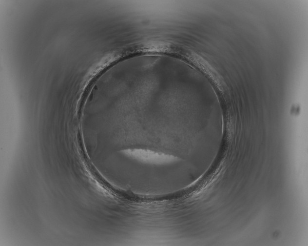 X0000097460721200802221213