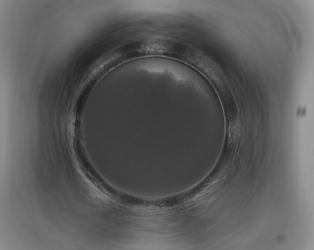 X0000097460722200802221213