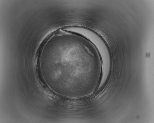 X0000097460723200802221213