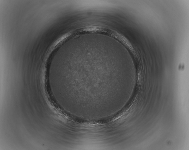 X0000097460724200802221213