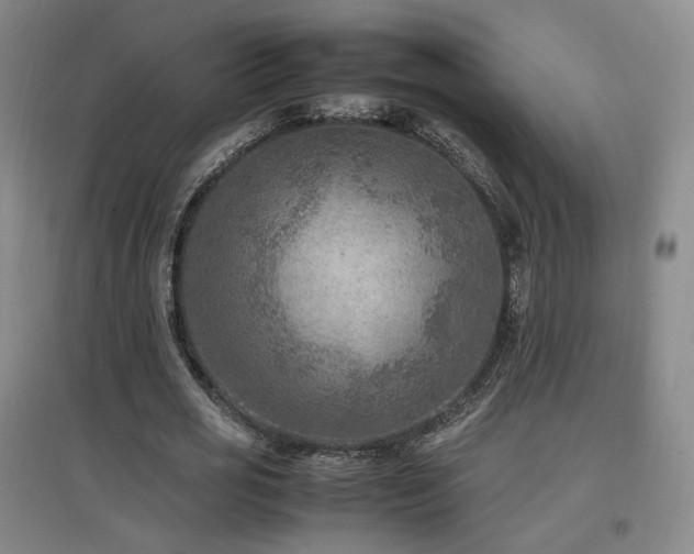 X0000097460725200802221213