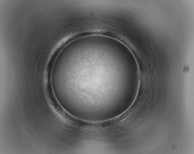 X0000097460726200802221213