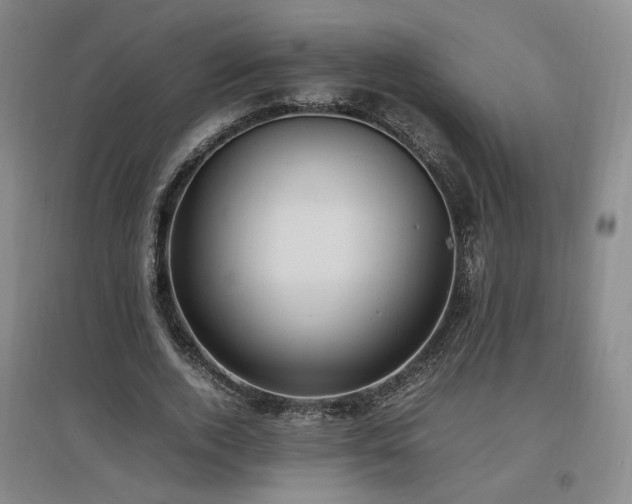 X0000097460728200802221213