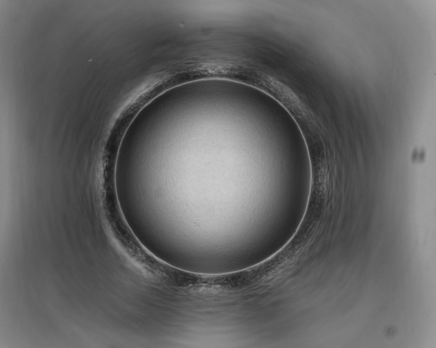 X0000097460730200802221213