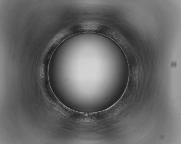X0000097460731200802221213