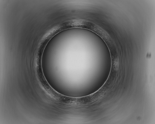 X0000097460732200802221213