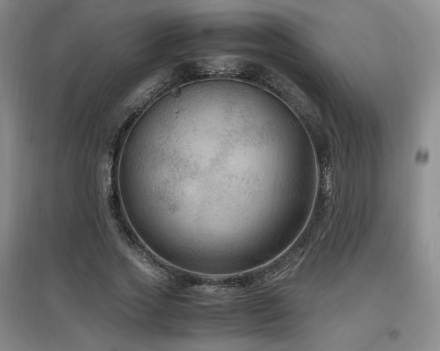 X0000097460733200802221213