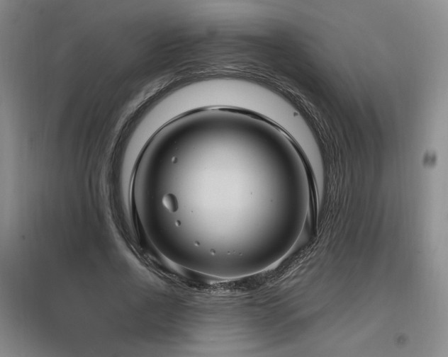 X0000097460734200802221213