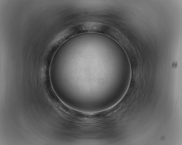X0000097460735200802221213