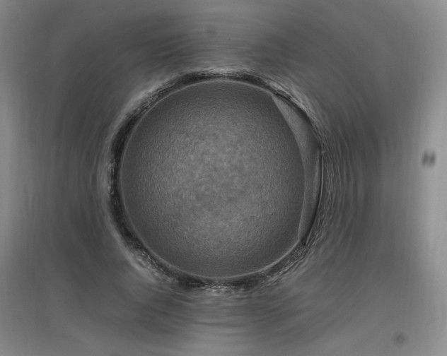 X0000097460736200802221213