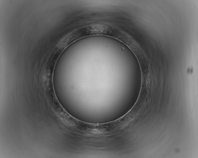 X0000097460737200802221213