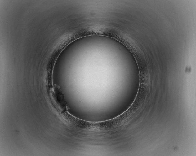 X0000097460738200802221213