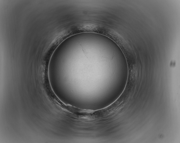 X0000097460739200802221213