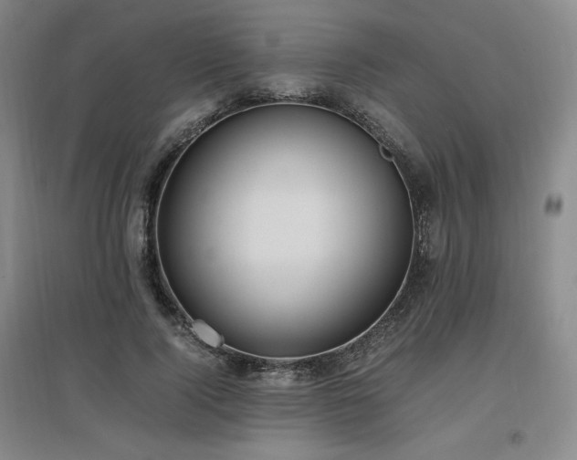 X0000097460740200802221213