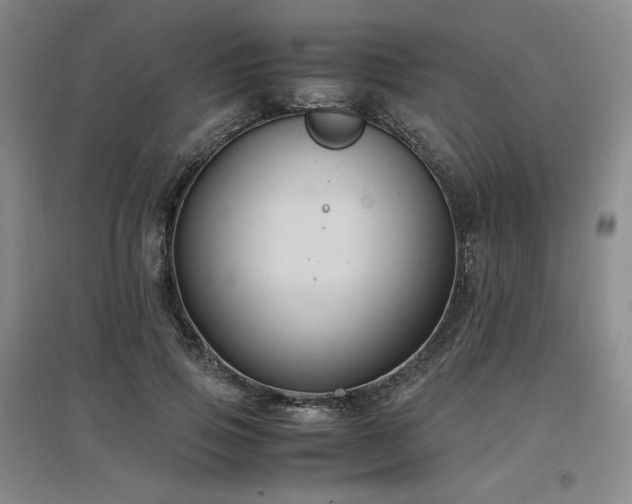 X0000097460741200802221213