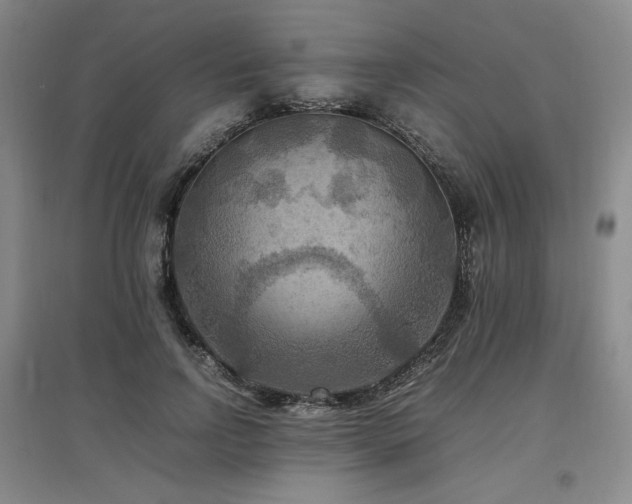 X0000097460742200802221213