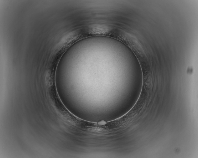 X0000097460743200802221213