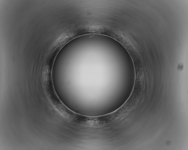 X0000097460744200802221213