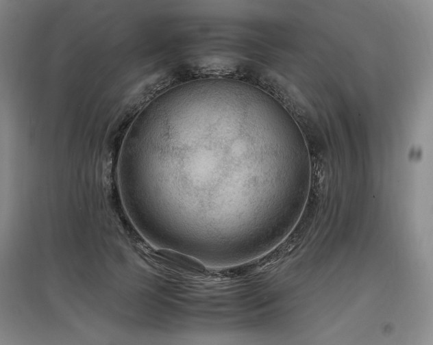 X0000097460745200802221213