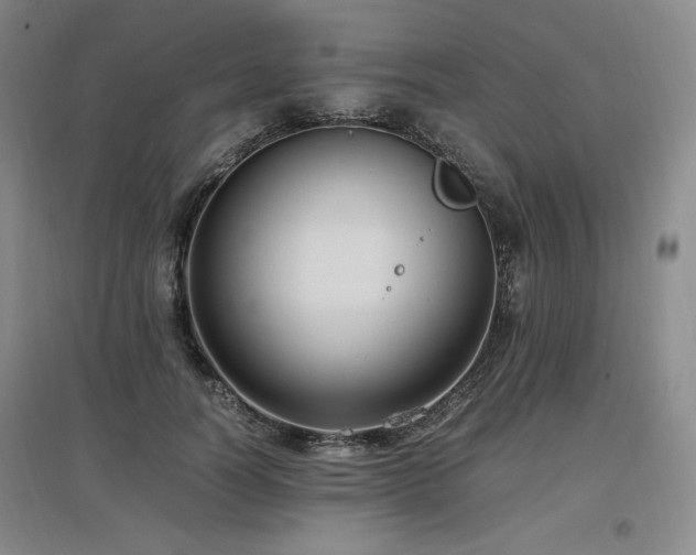 X0000097460746200802221213