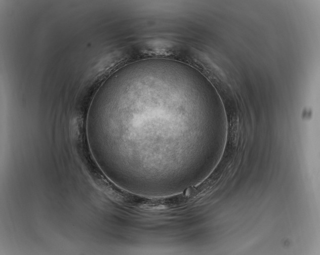 X0000097460747200802221213