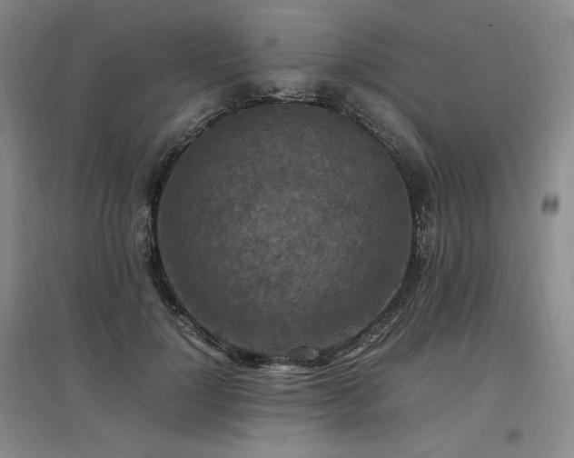X0000097460748200802221213